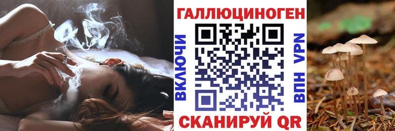 Галлюциногенные грибы Cubensis  blacksprut ССЫЛКА  Саранск 